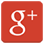 Google+ icon